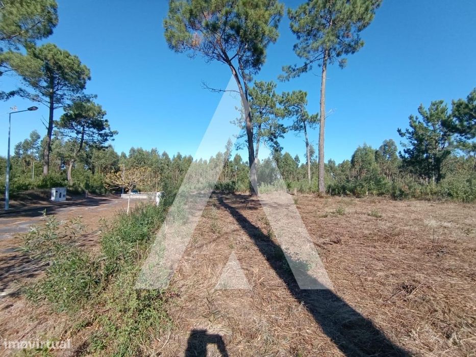 Lote de terreno para construção em Ílhavo junto ao rio Boco