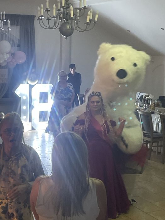 Biały Miś / Miś na imprezę/wesele