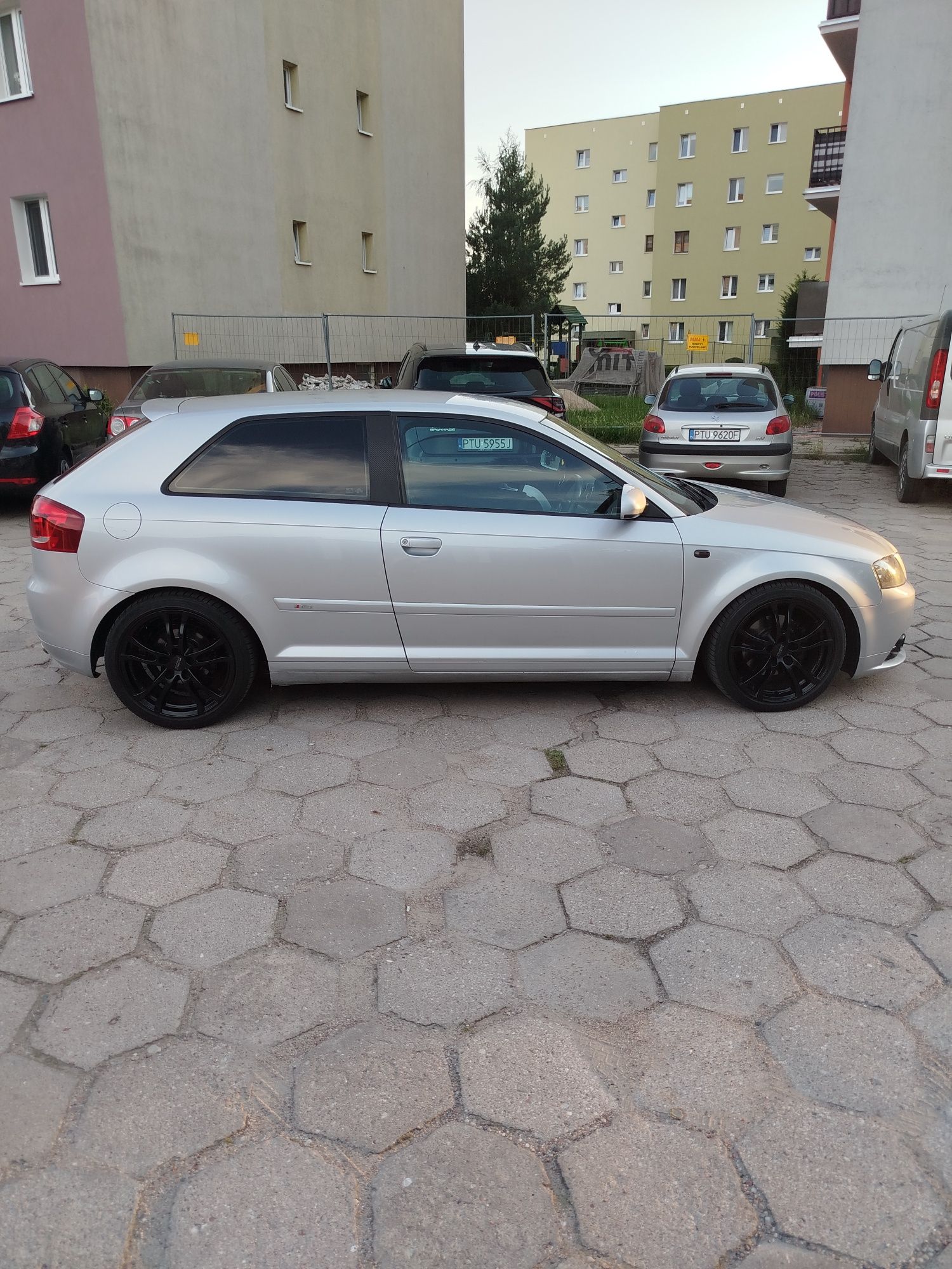 Sprzedam zarestrowanego Anglila lub zamienię na coś tańszego
