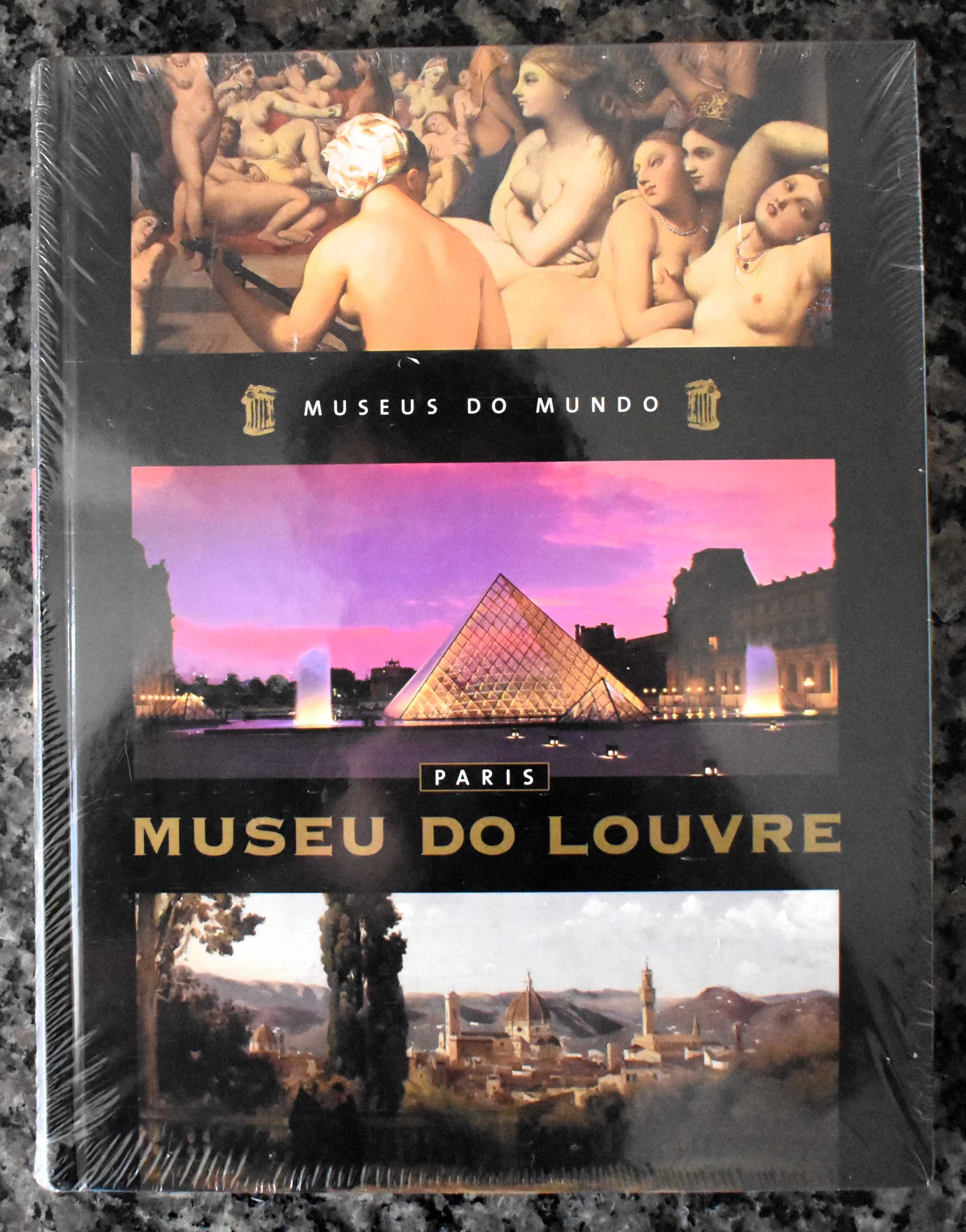 Museu do Louvre - Museus do Mundo
