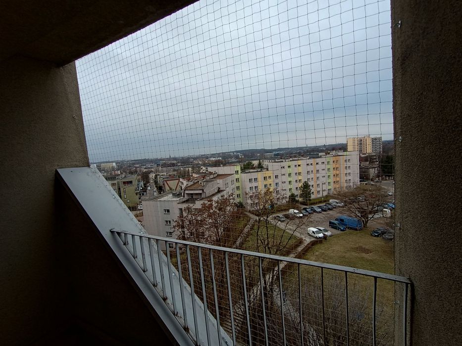 Siatka na balkon, siatka dla kota, siatka przeciw ptakom