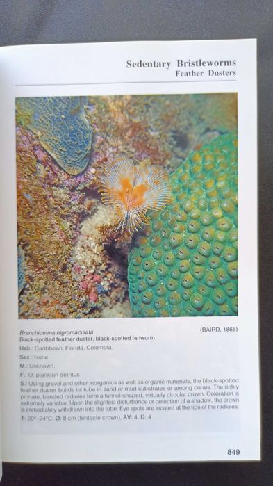 3 livros Atlas de Água Salgada (peixes, corais e invertebrados)