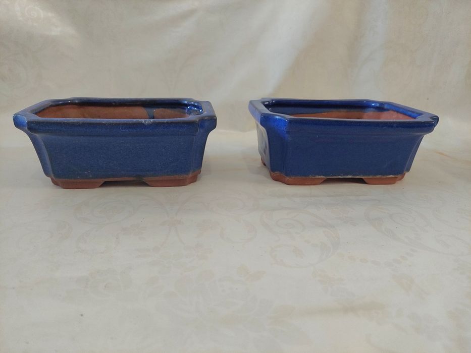 Vasos de bonsai e placas