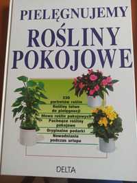 Rośliny pokojowe ks