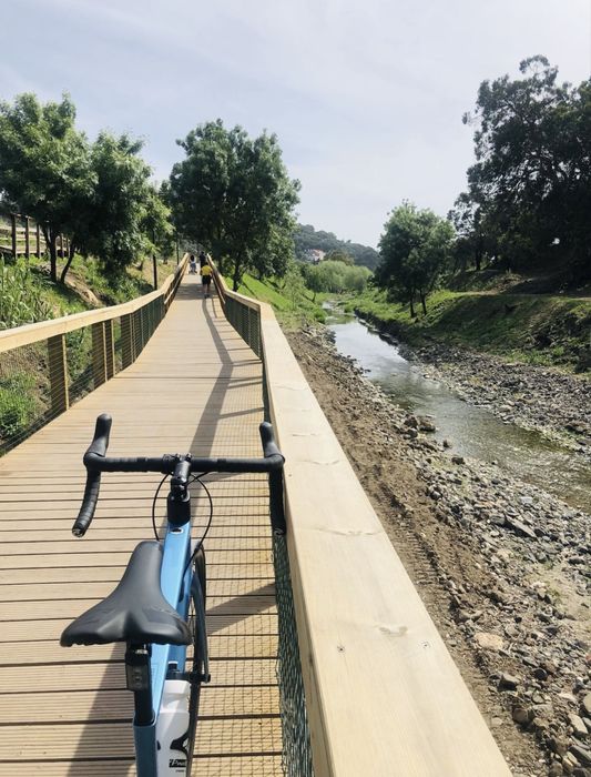 Cannondale SuperSix Evo Carbon 105