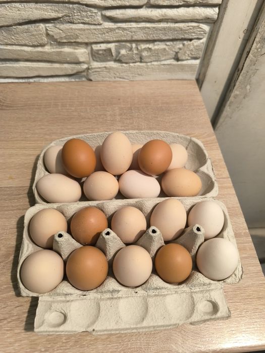 Jajka kurze świeże zdrowe
