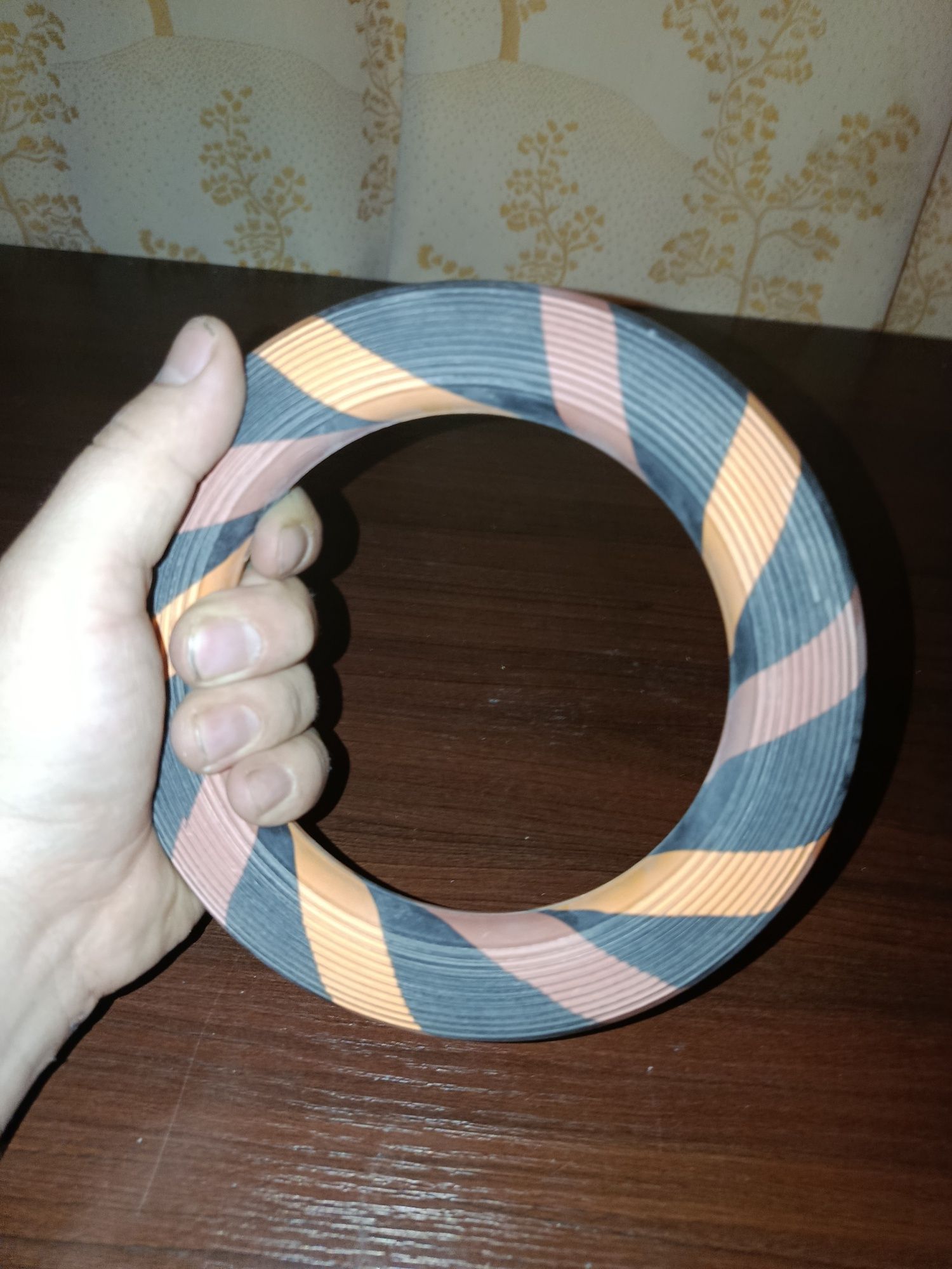 Frisbee dla pieska