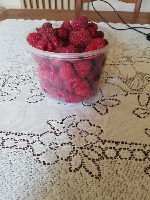Sprzedam maliny ekologiczne 12 zł/L