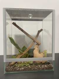 Terrarium wym. 25x20x15