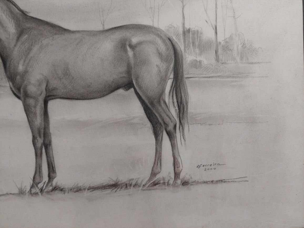 Lindo desenho cavalo emoldurado assinado