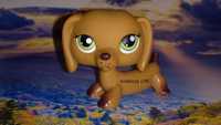 LPS Littlest Pet Shop jamnik #139 #307 oryginalny UNIKAT oryginał POP