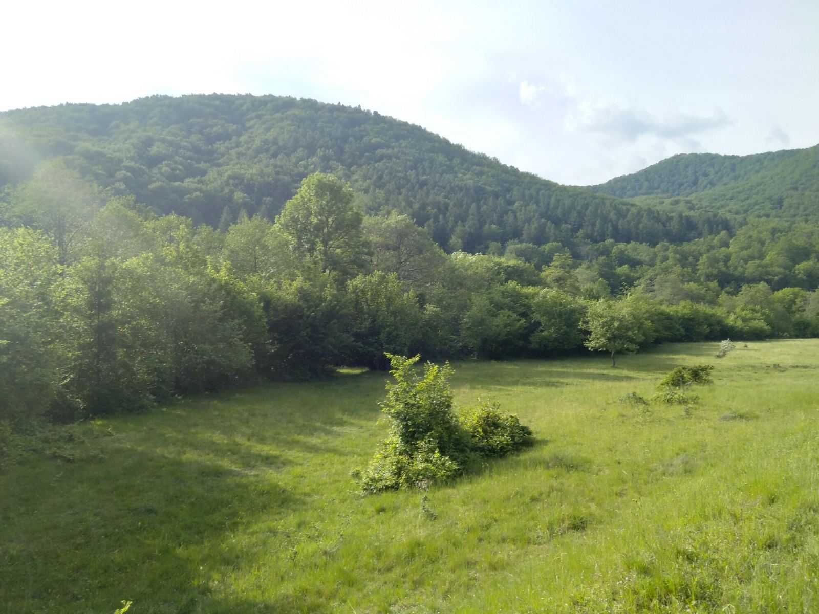 Продаємо ділянку під форельник  Турья Поляна