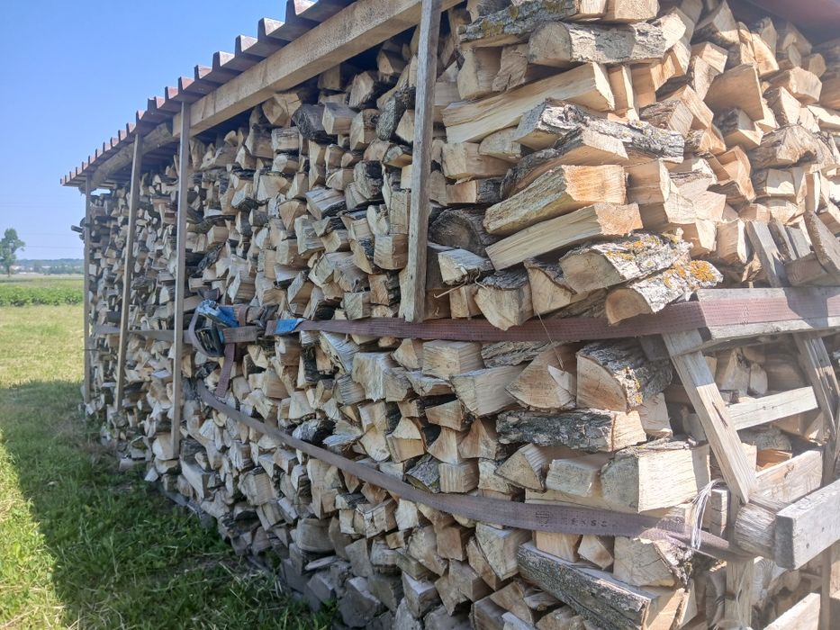 Drewno opałowe wierzba suche