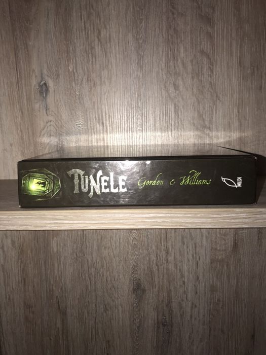 „Tunele” Roderick Gordon & Brian Williams