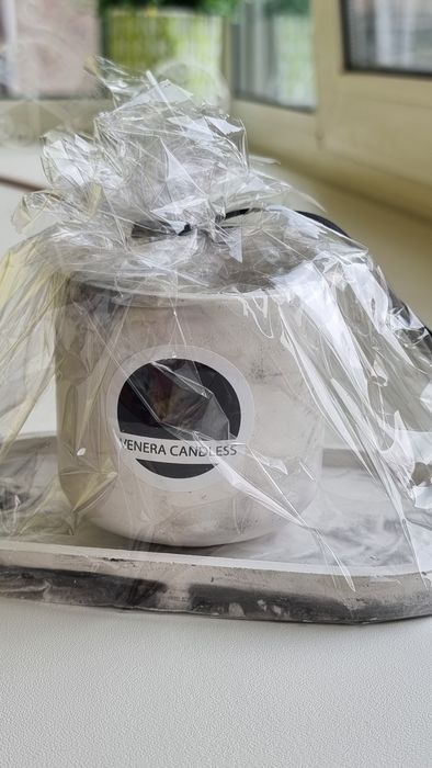 Ніжна свічка-повінія в гіпсовому кашпо