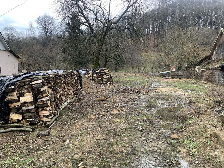 Продається земельна ділянка під будівництво в с.Шаян