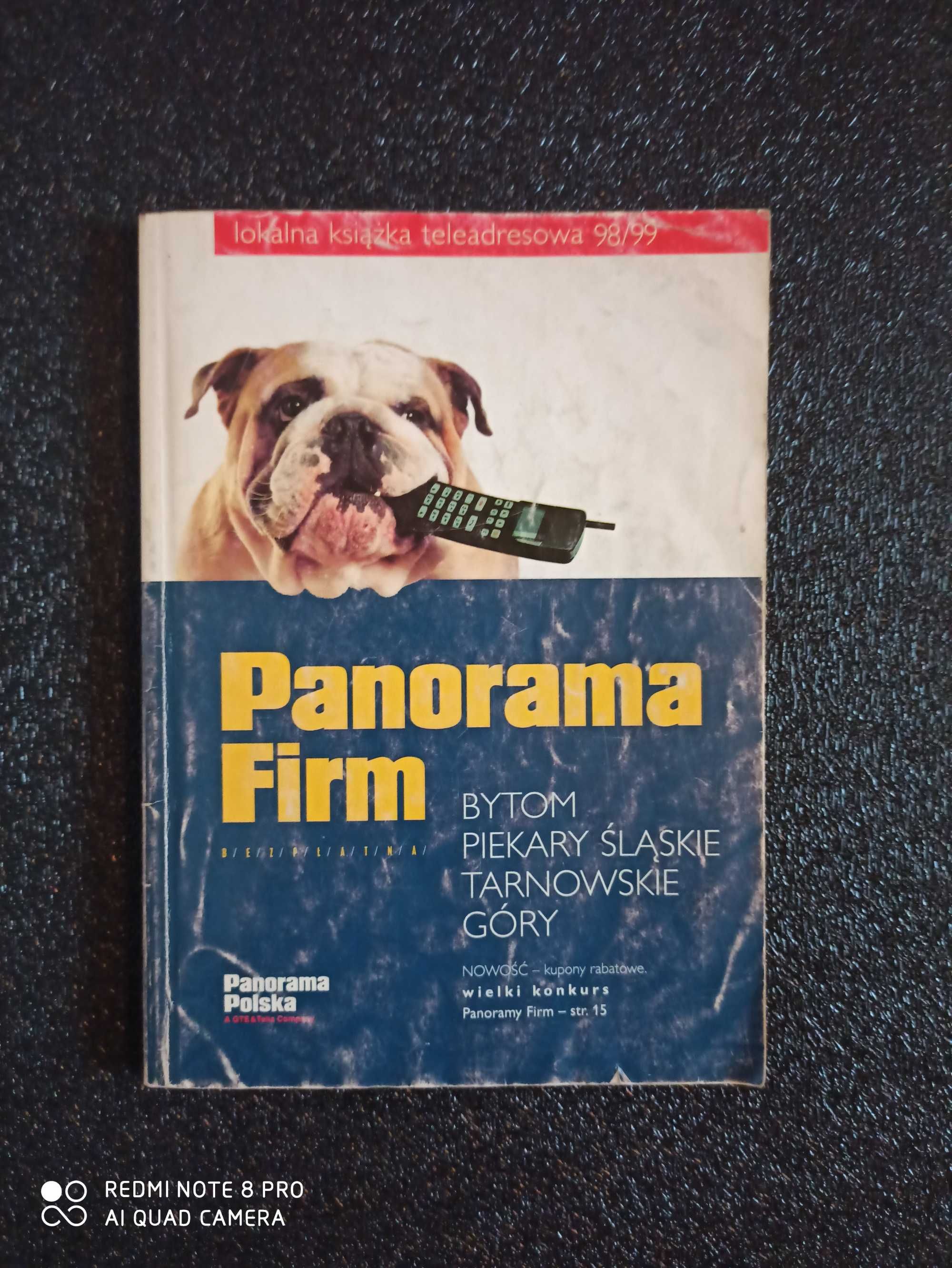 Panorama Firm Bytom Piekary Śląskie Tarnowskie Góry 98/99