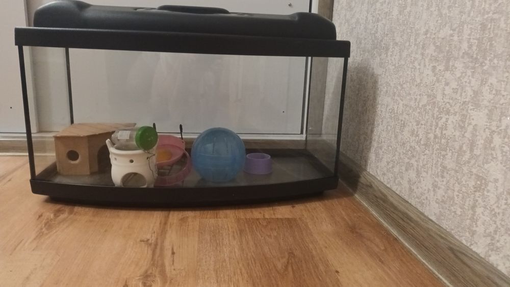 Akwarium 60l dla chomika