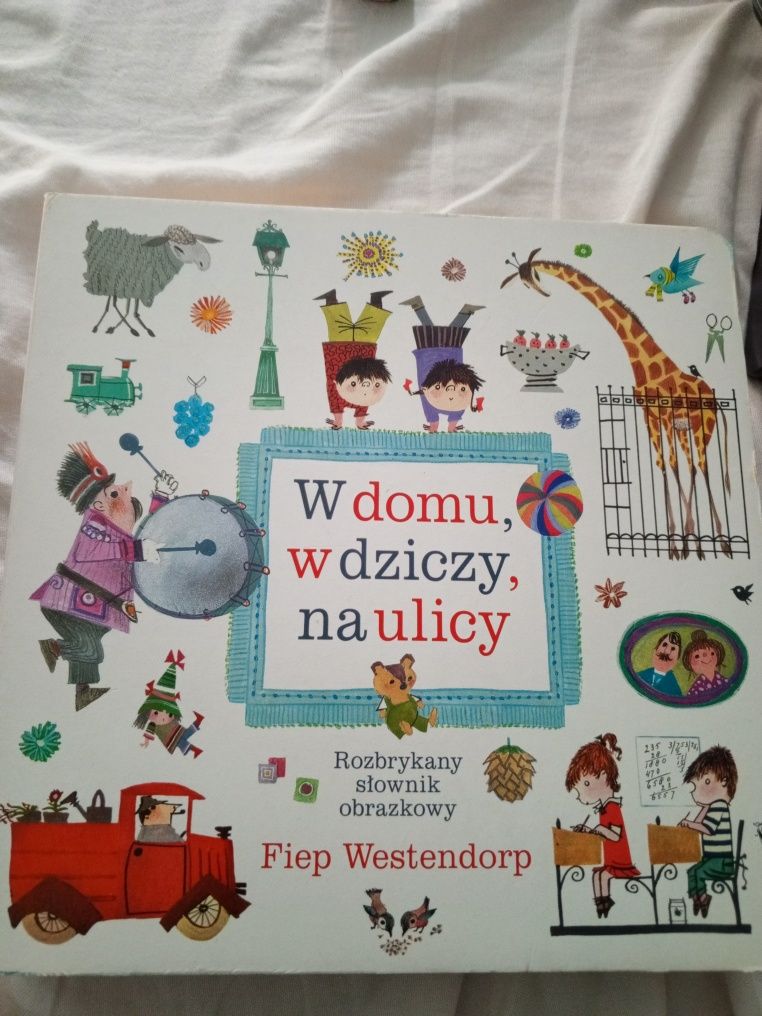 W domu, w dziczy, na ulicy książka