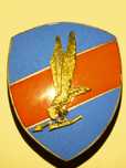 Odznaka J.W. Grom