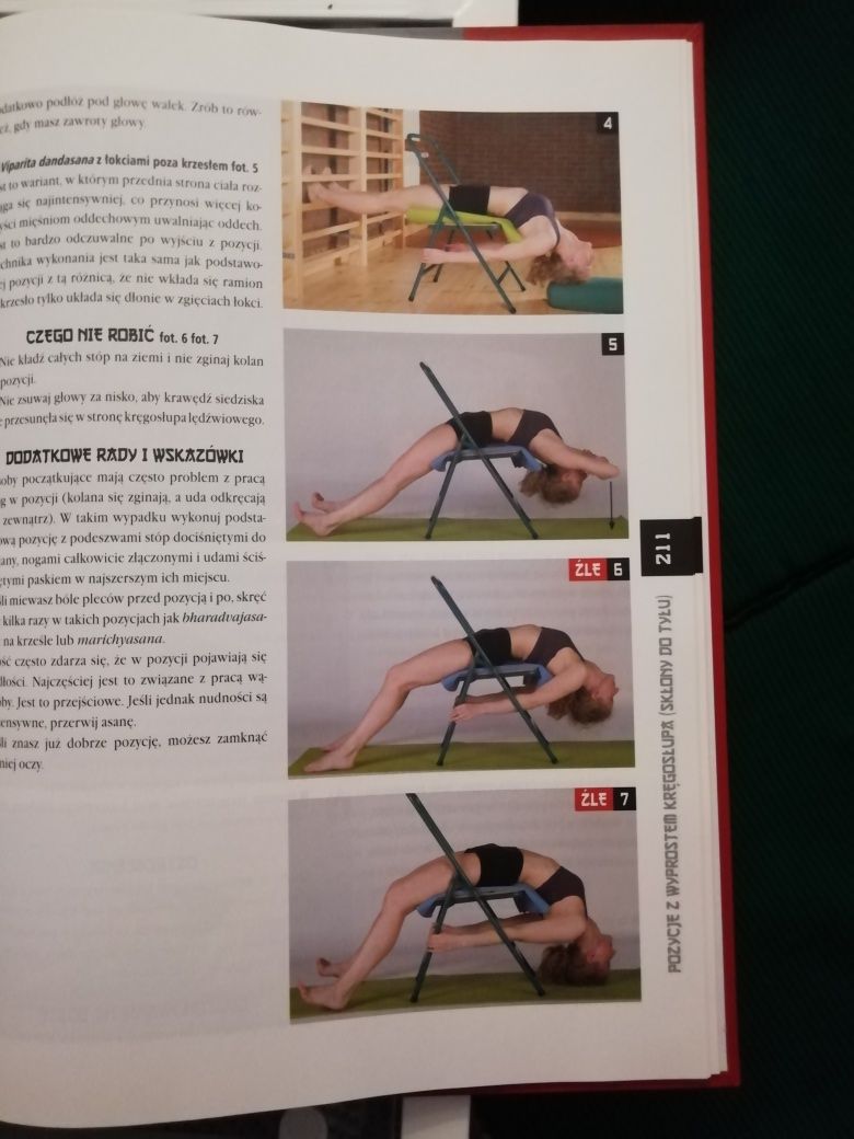 Joga i ajurweda - B. V. Niedaszkowski
