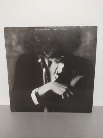 The Waterboys LP Vinil 1985