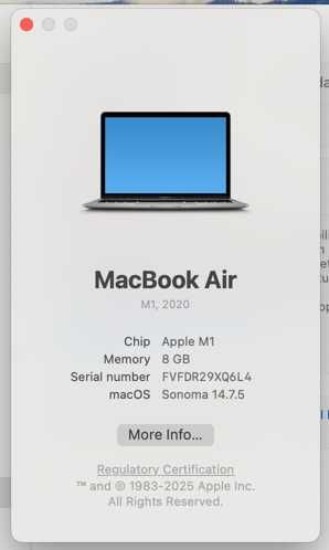 Macbook Air M1 2020 A2337 8GB 256GB