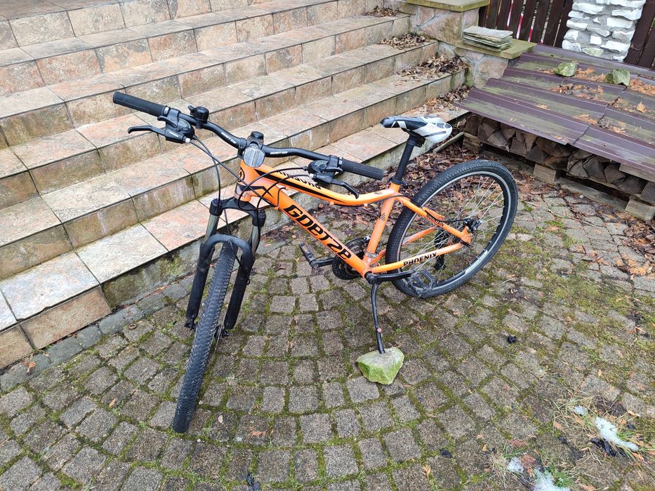 Rower Goetze Phoenix Mountain Bike
