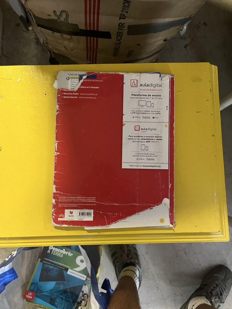 manual de ingles 9 ano