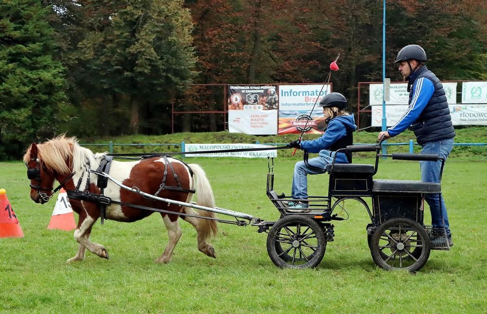 Sprzedam bryczkę typu maraton na kucyka