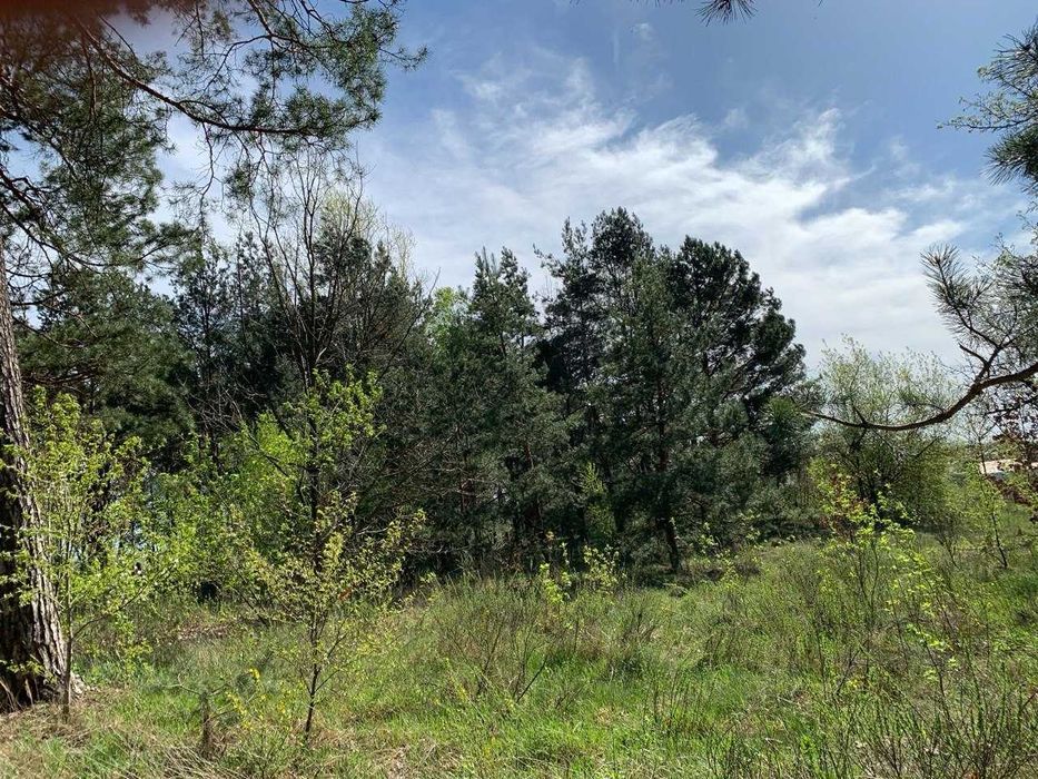 Земля під базу від починку біля озера в Лісовичах! Комунікації поруч