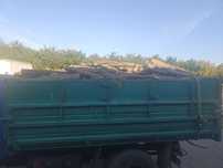 Продам дрова твердих порід
