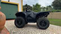 Yamaha Grizzly  700 Special Edition