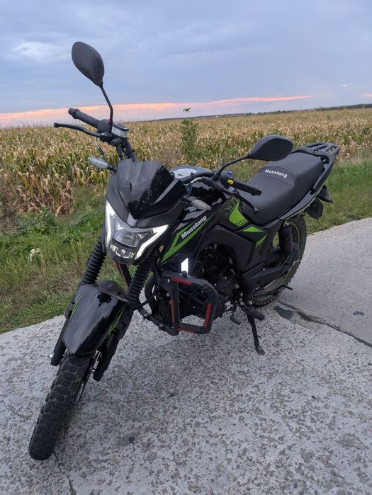 Musstang Region mt250