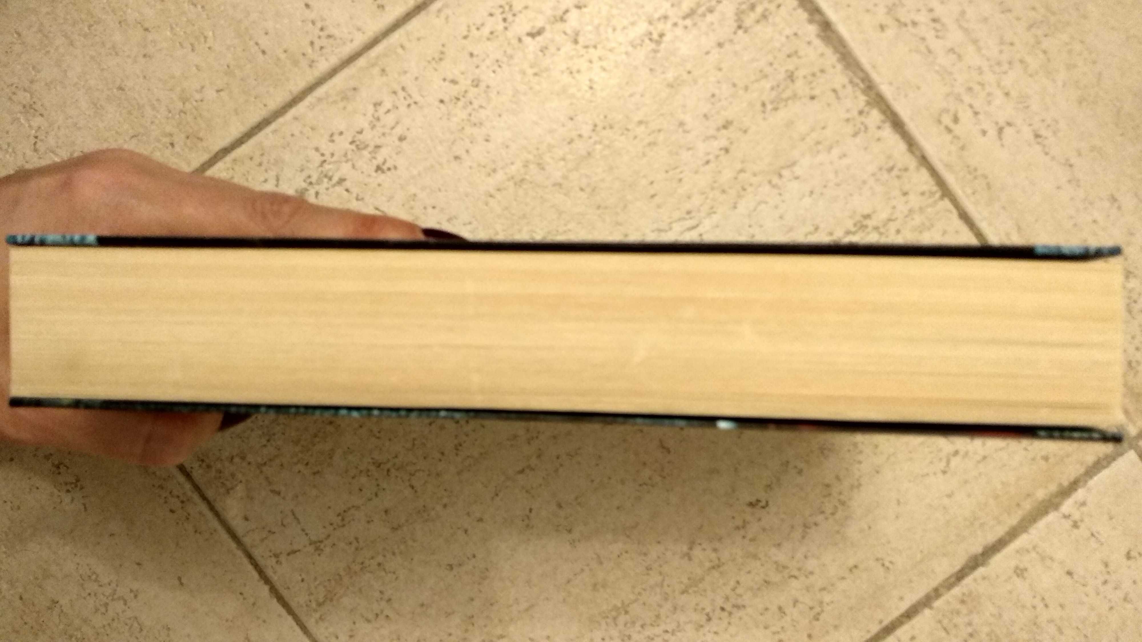 Livro "Aliança das Trevas" da Anne Bishop