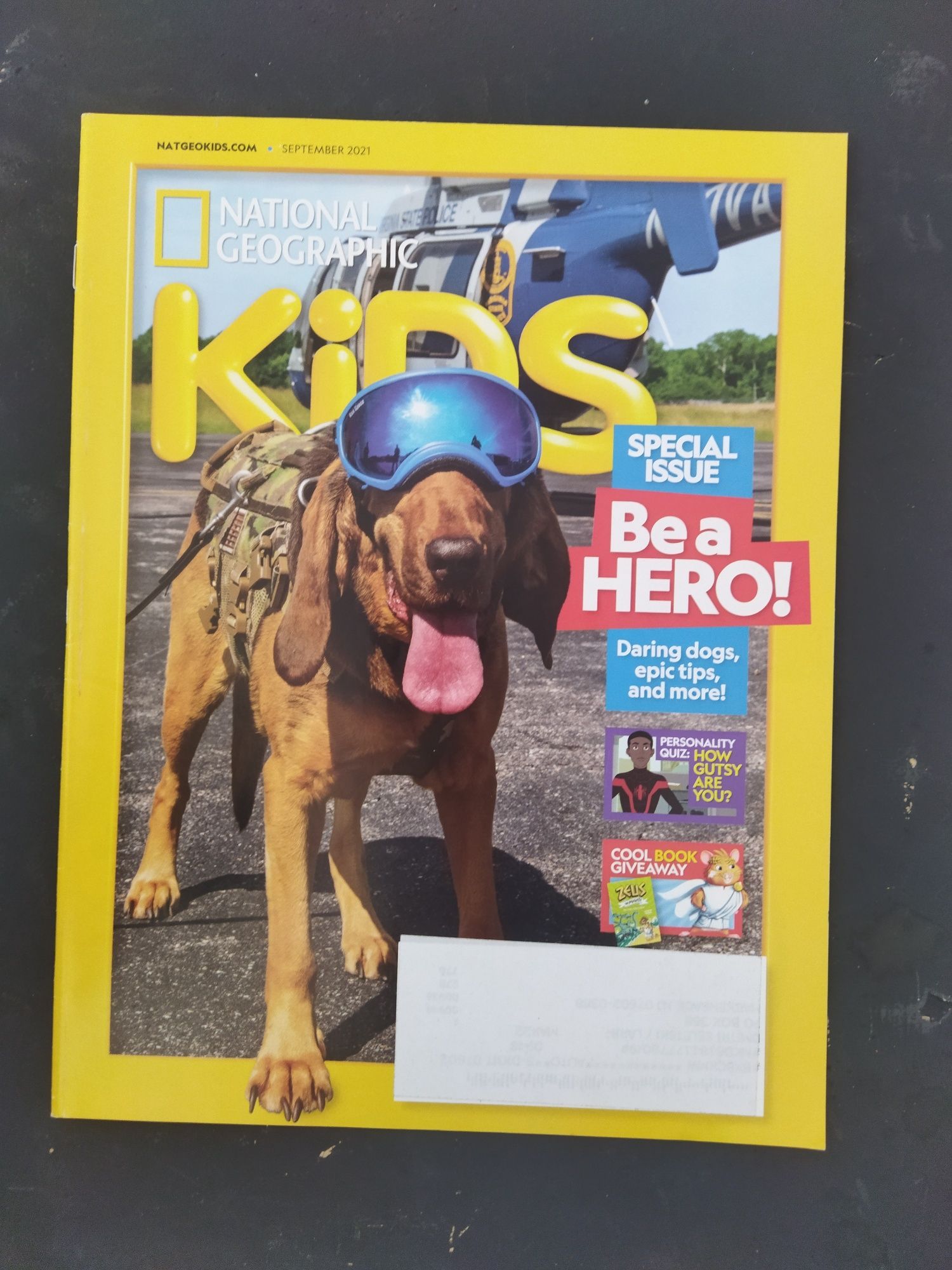 Журнал Не́шнел джіоґре́фік Кідс
National Geographic Kids
The National