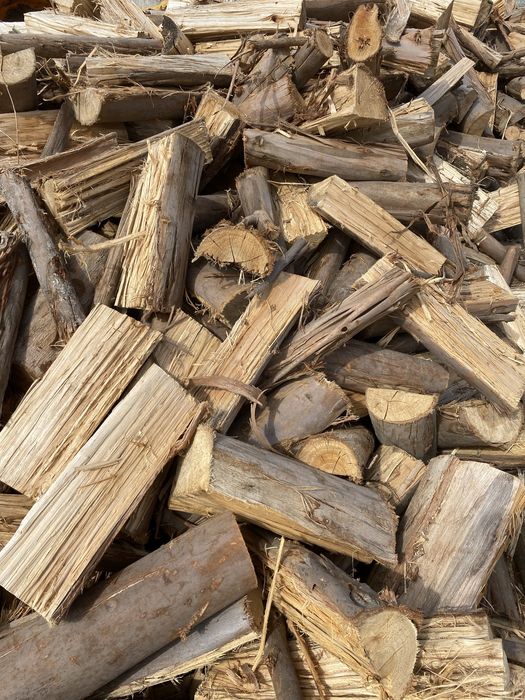 Venda se lenha de Eucalipto e de Sobreiro