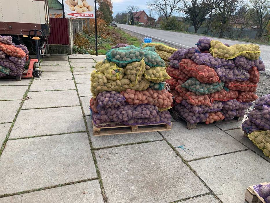 Оренда складу. Оренда торгового або складського приміщення. Буштино.