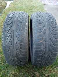 Шини Uniroyl 205/55 r 16