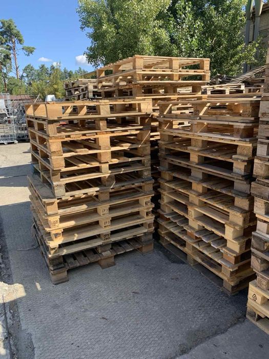 Европодоны деревянные