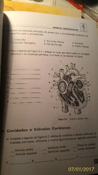 Livro de exercicios de anatomia