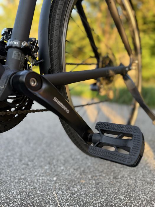 rower Winora, model Flitzer