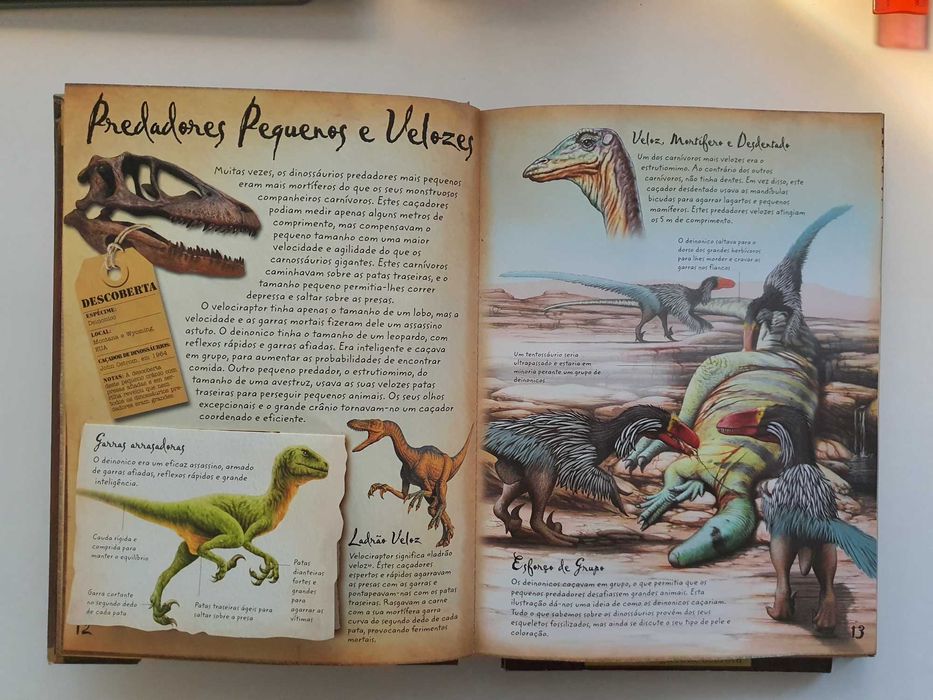 Livro Caçadores de Dinossáurios