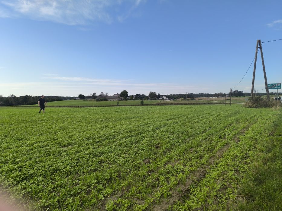 Urokliwa działka w Nowym Podlesiu - cisza, natura i bliskość miasta