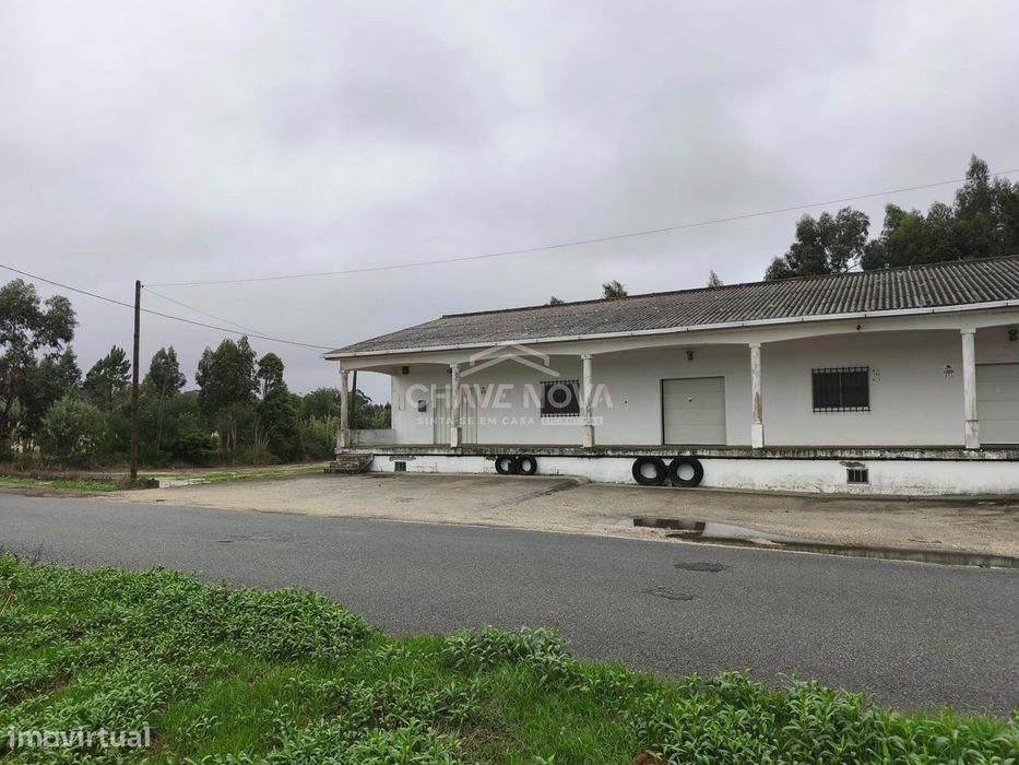 Armazém com cave e amplo terreno em Ouca, Vagos | 350 000€