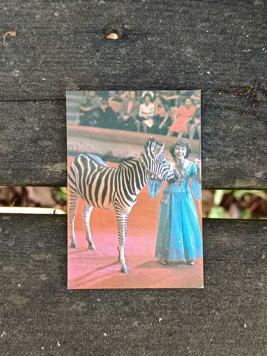 Calendários Soviéticos (URSS) - Anos de 1985 e 1991