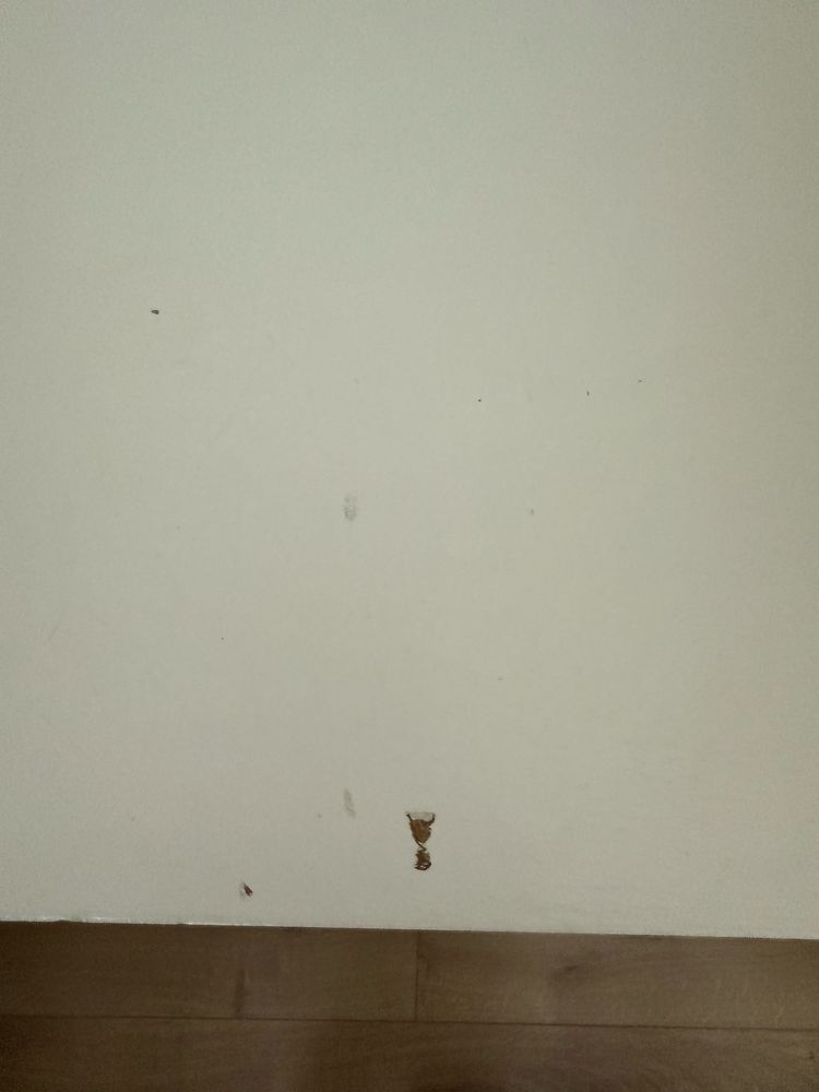 Regał z pojemnikami IKEA TROFAST