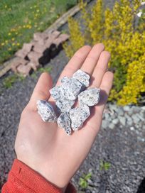 Kamień ogrodowy dekoracyjny granit grys dalmatyńczyk
