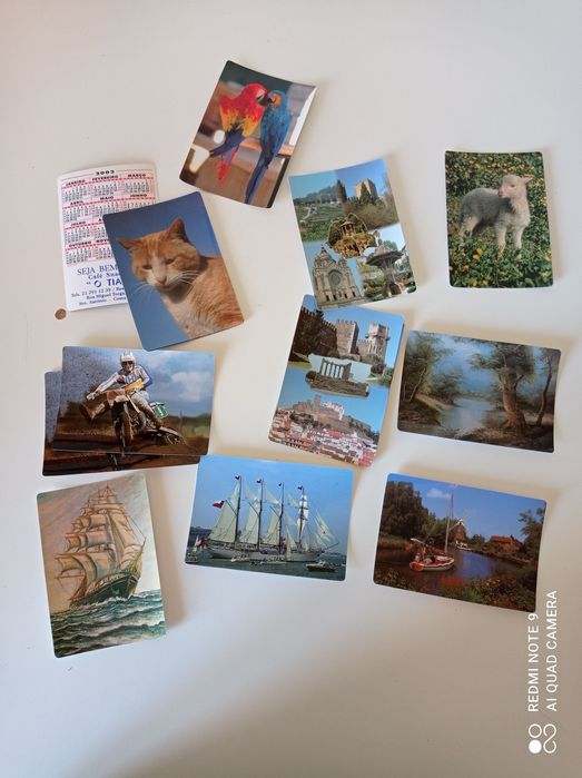 Coleção de calendários de bolso