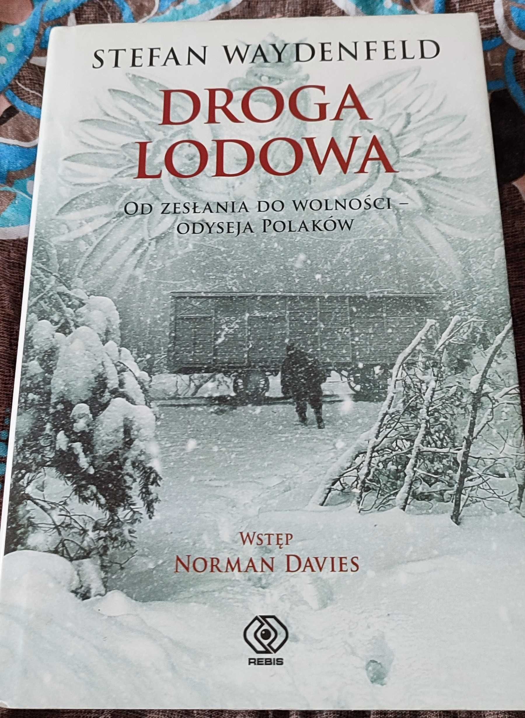 Droga lodowa - Stefan Waydenfeld